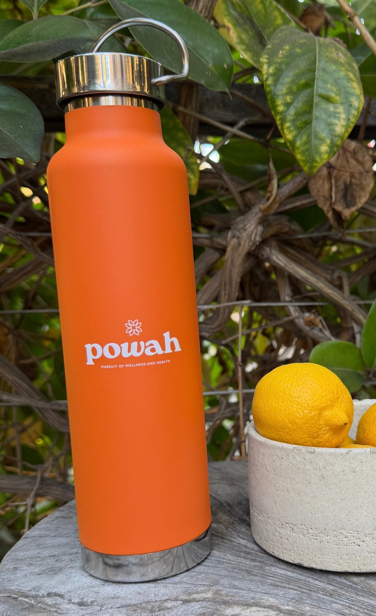 Powah Stainless Steel Bottle