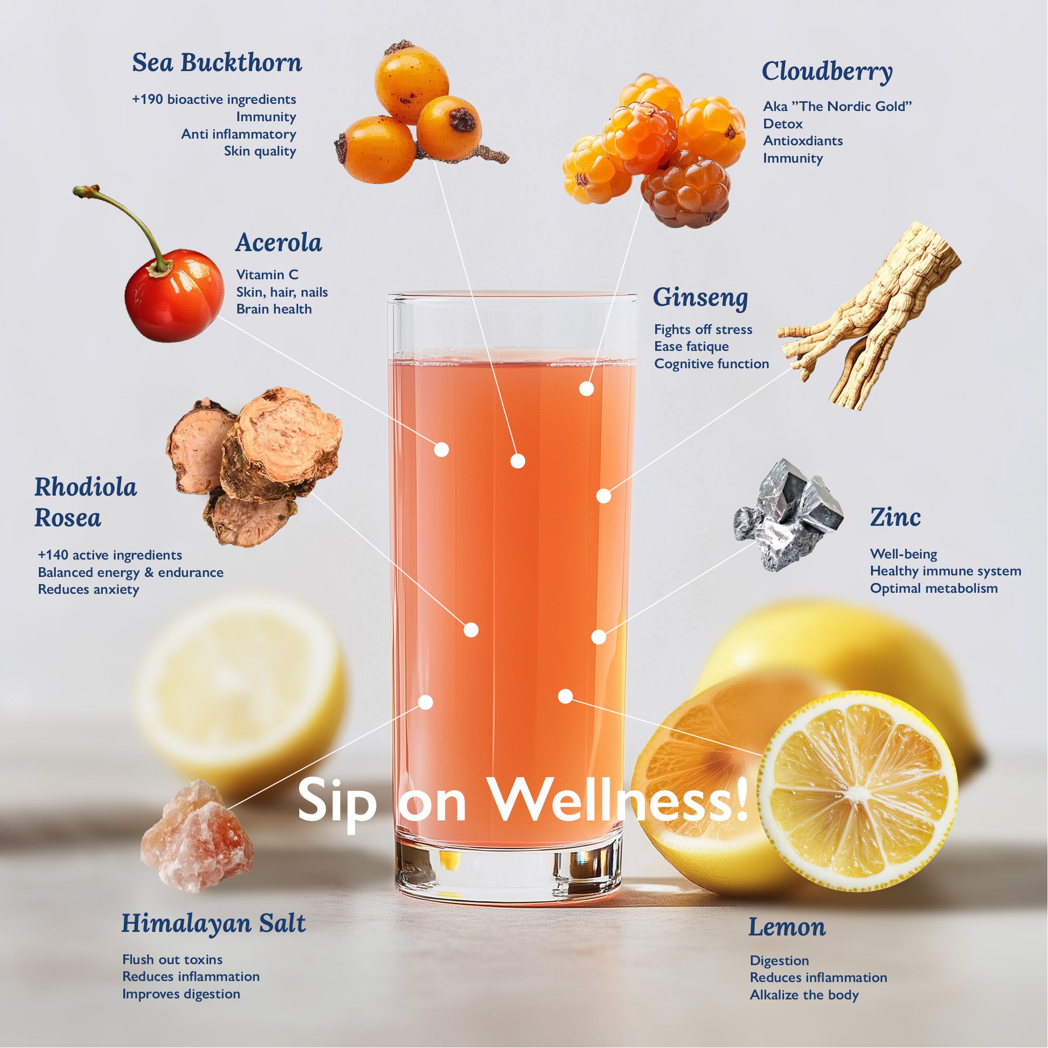 Daily Hustle Bundle - 2 pack, 60 day supply.